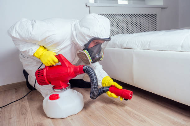 Best Local Pest Control Services  in Pleasant View, UT