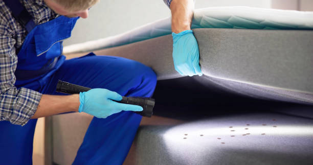 Best Pest Removal Services  in Pleasant View, UT