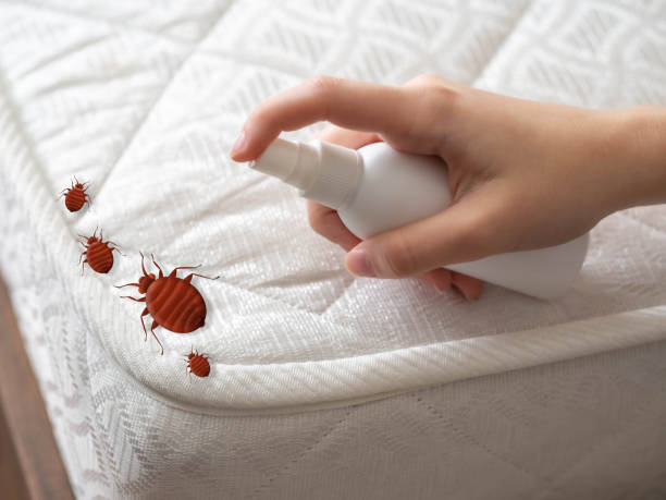 Best Residential Pest Control  in Pleasant View, UT